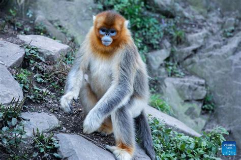 玉合公園怎樣？游樂、風景與休閒一體的多面魅力